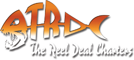 The Reel Deal logo
